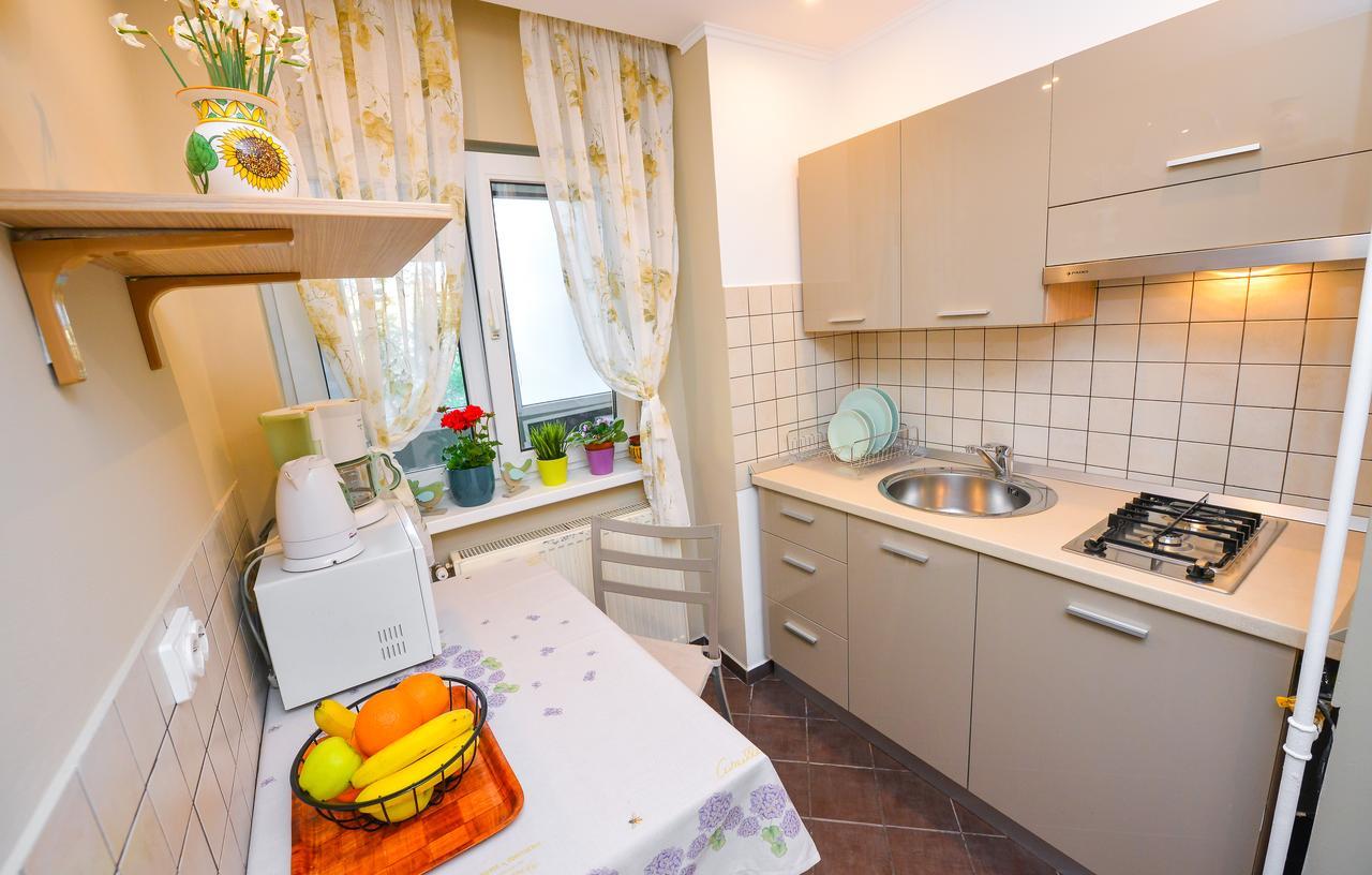 Romana Lahovary Studio Bucharest Luaran gambar